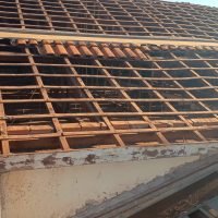 WhatsApp Image 2025-08-10 at 17.35.15